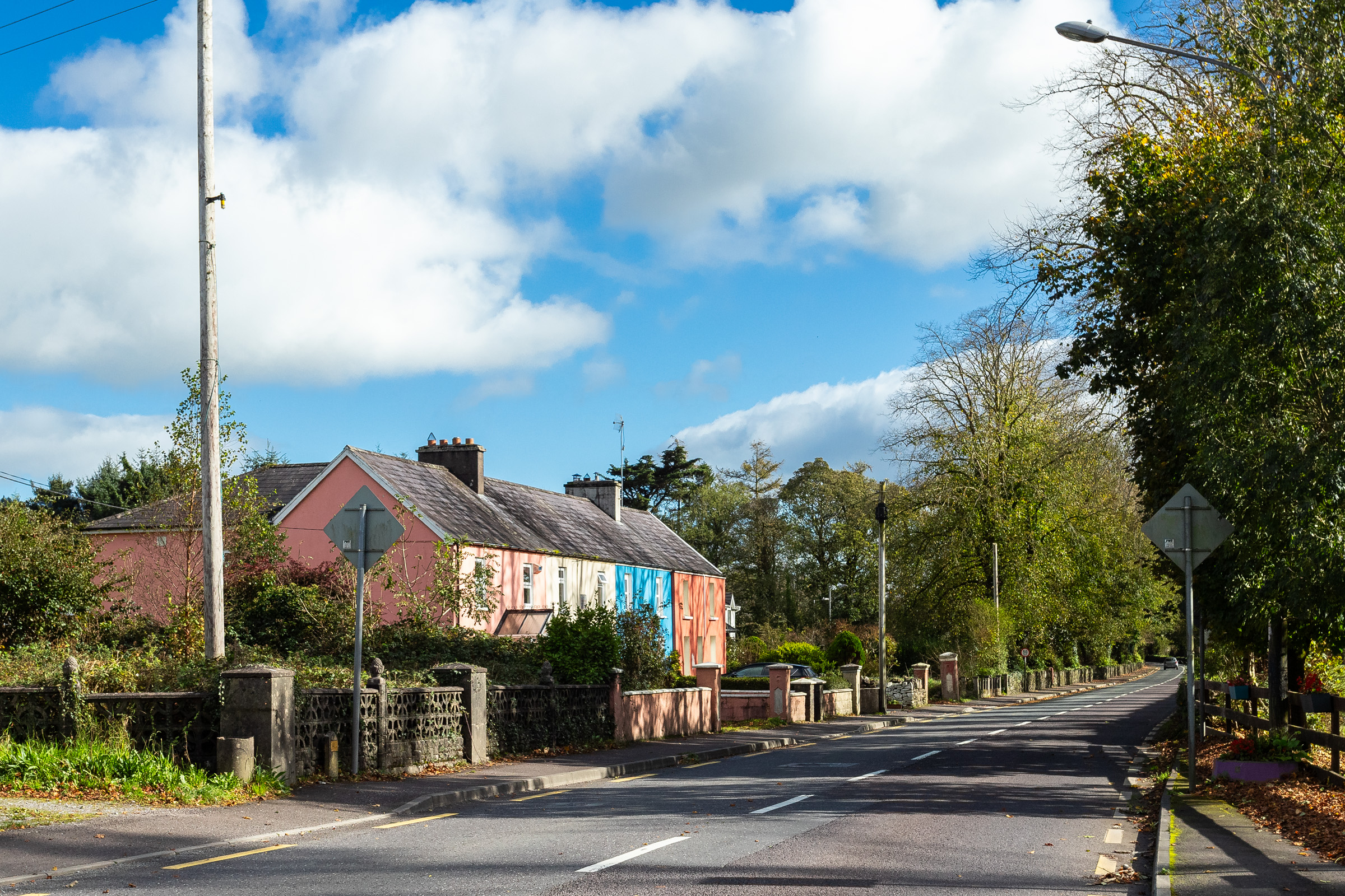 Photo: Niamh Whitty/www.pictureitsold.ie