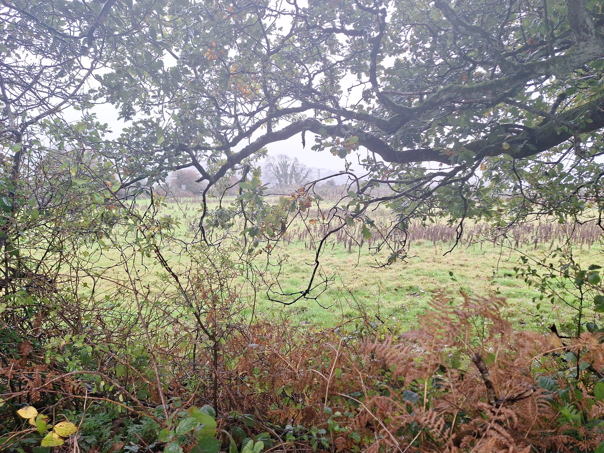 IMG-20231017-WA0008