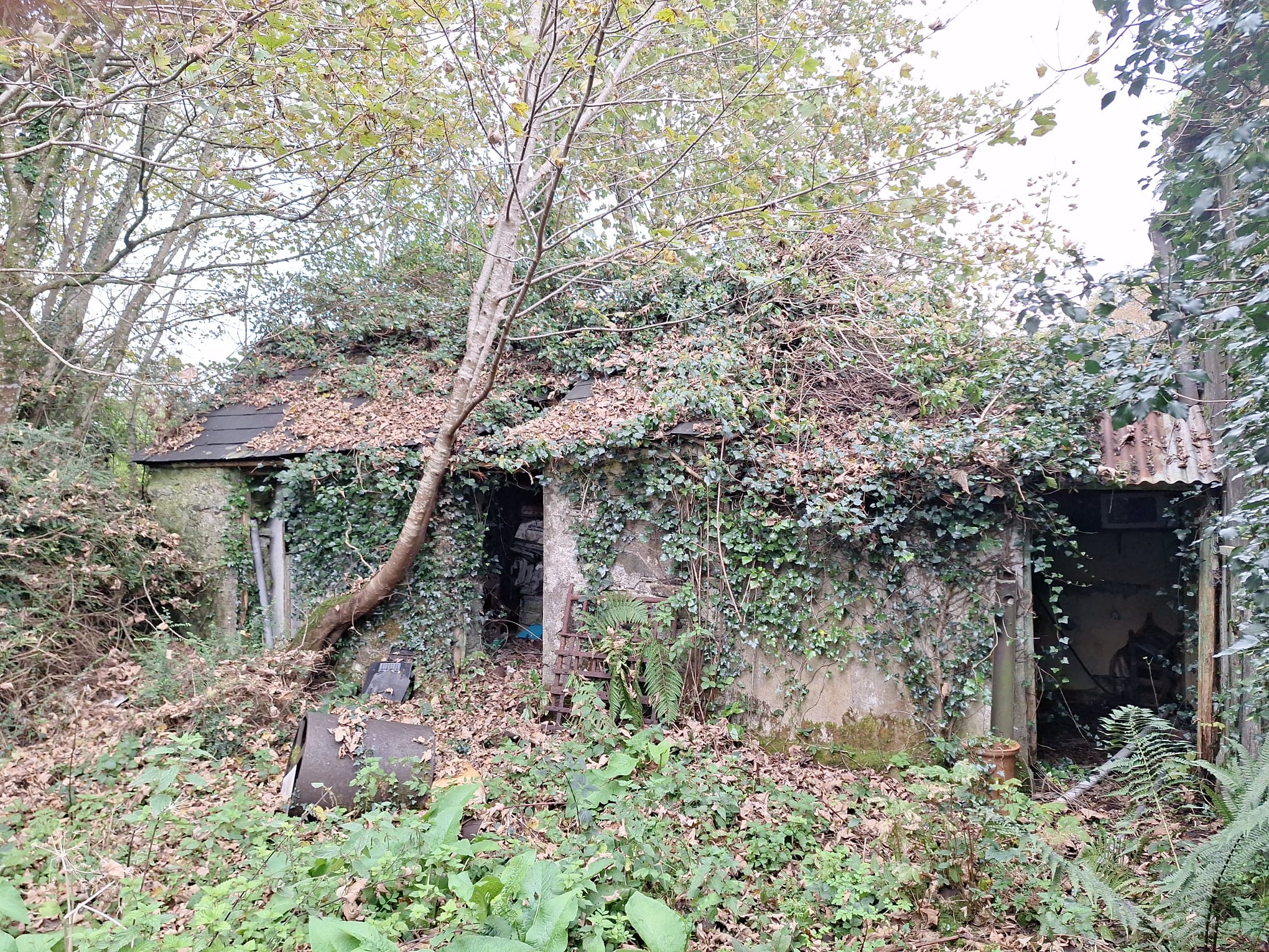 Bengour West, Lissarda, Co. Cork