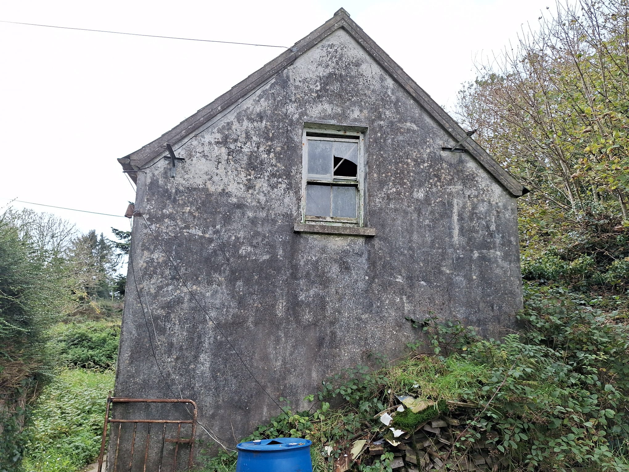 IMG-20231017-WA0011