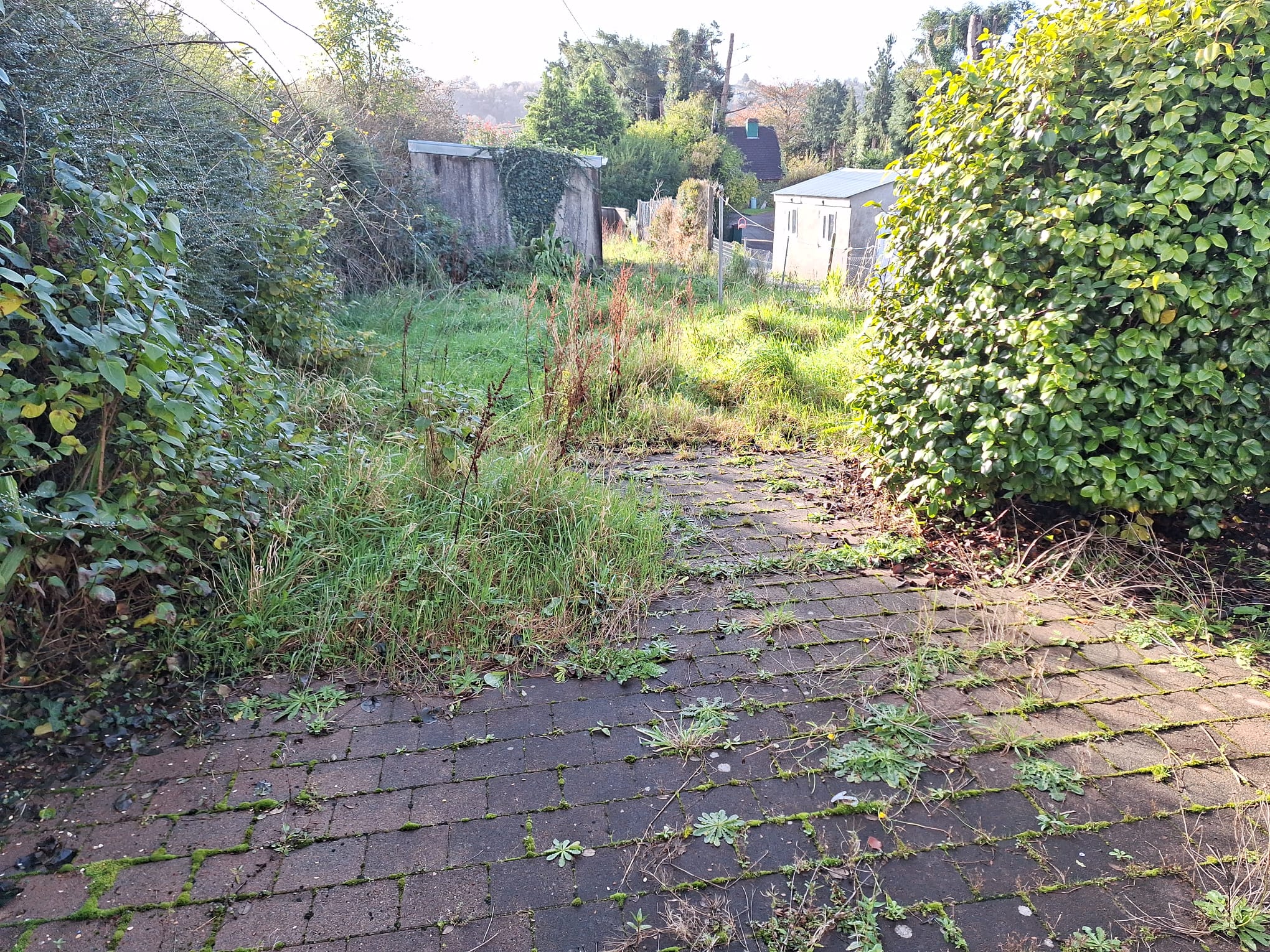 IMG-20231102-WA0006