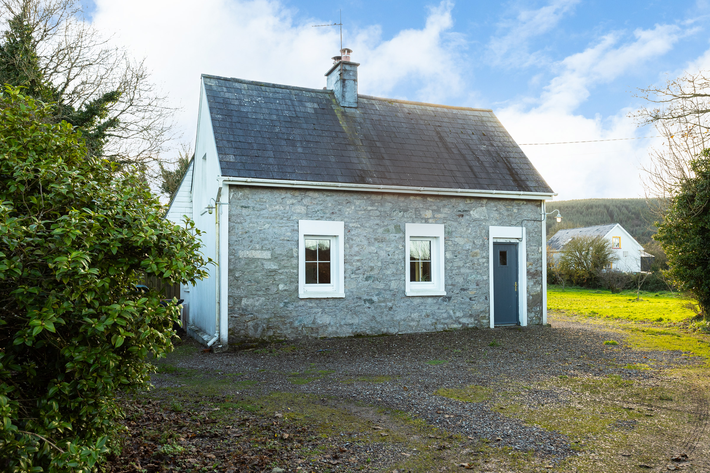 Photo: Niamh Whitty/www.pictureitsold.ie