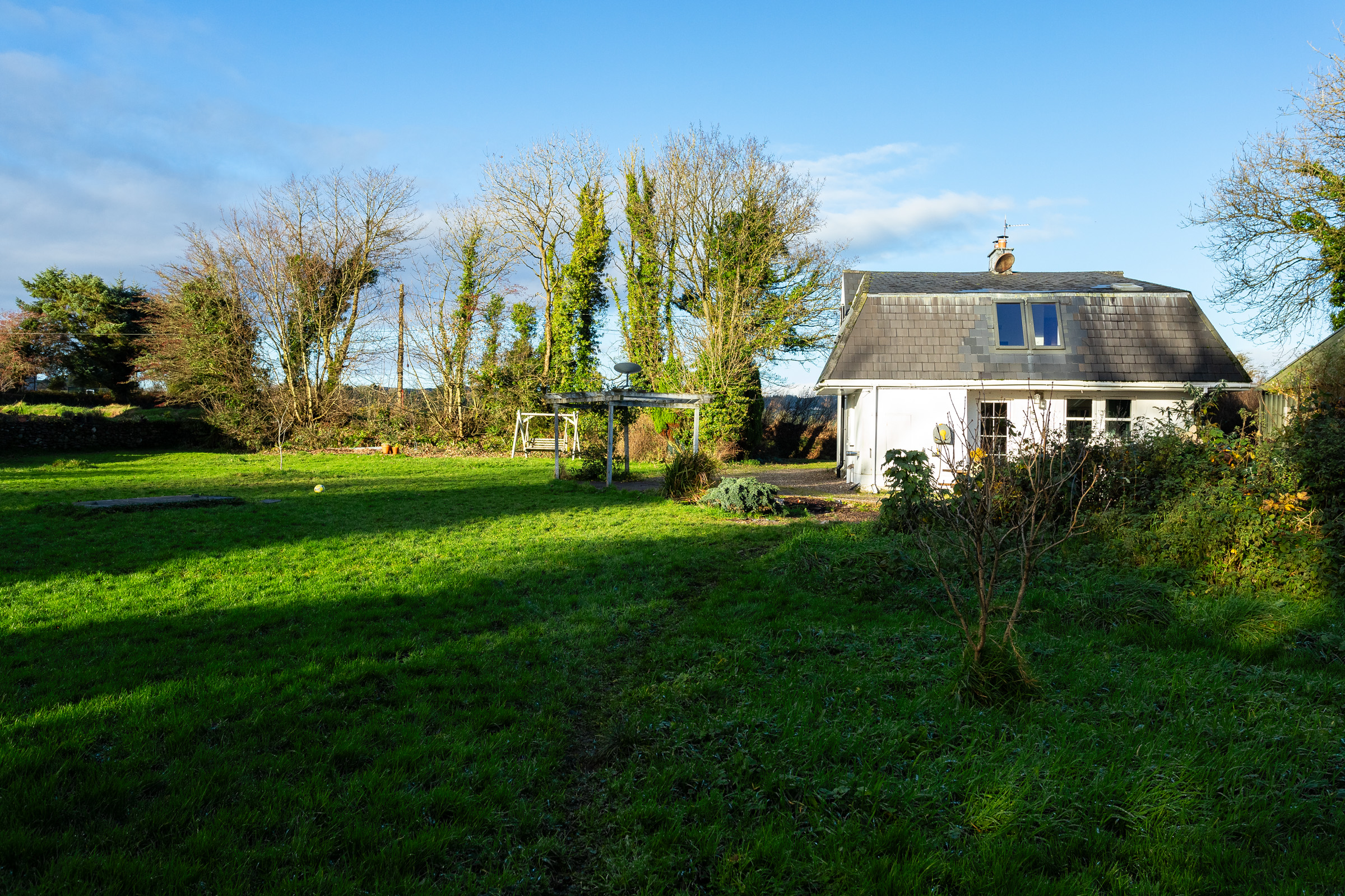 Photo: Niamh Whitty/www.pictureitsold.ie