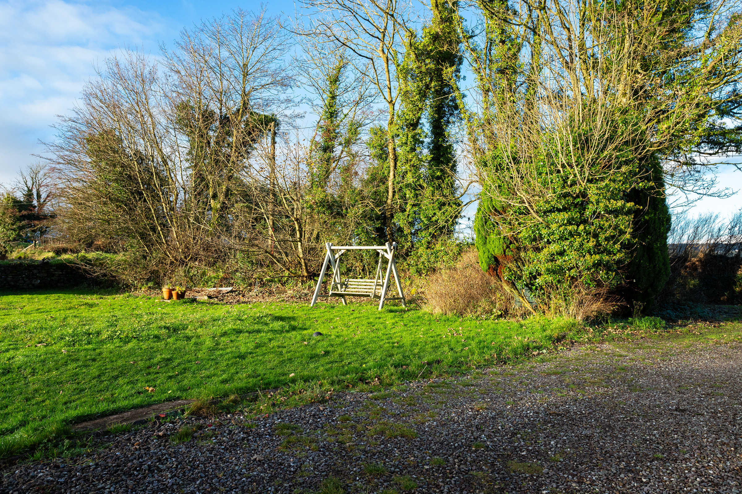Photo: Niamh Whitty/www.pictureitsold.ie