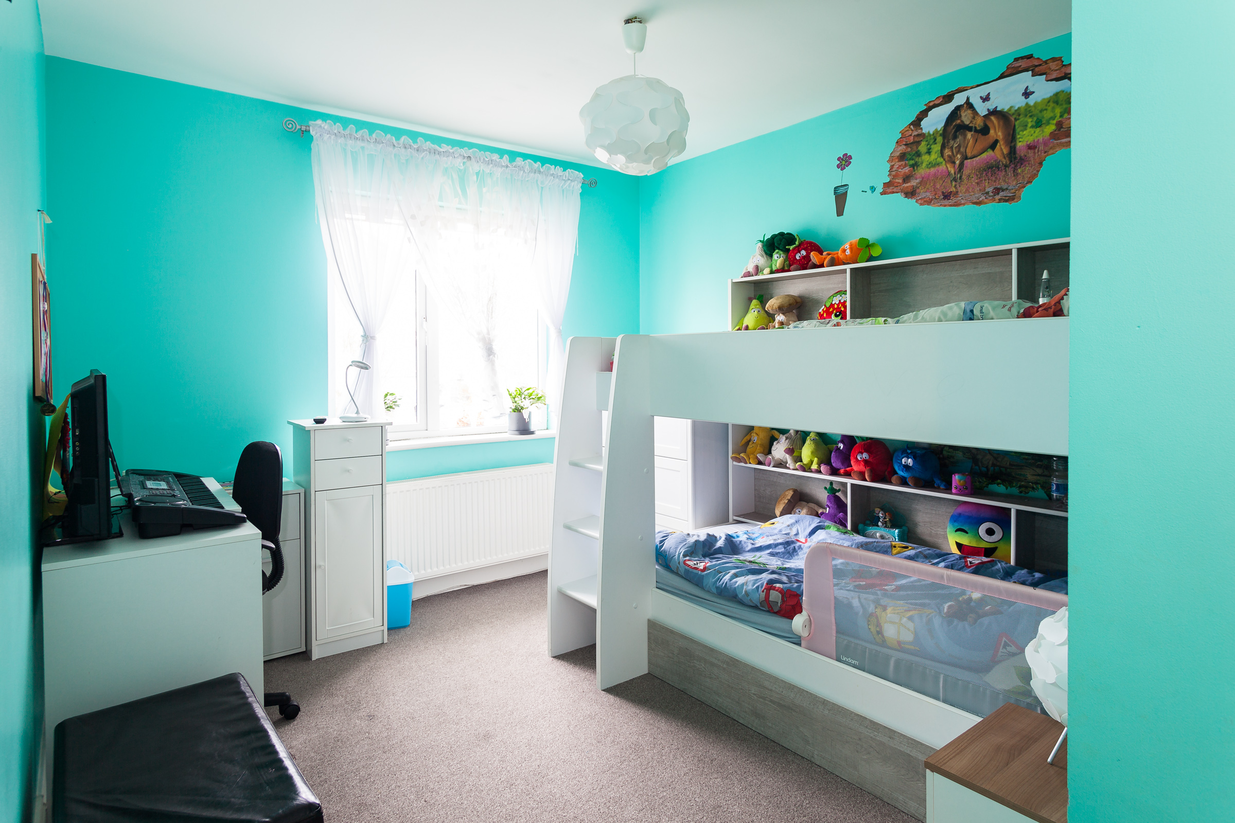 Photo: Niamh Whitty/www.pictureitsold.ie