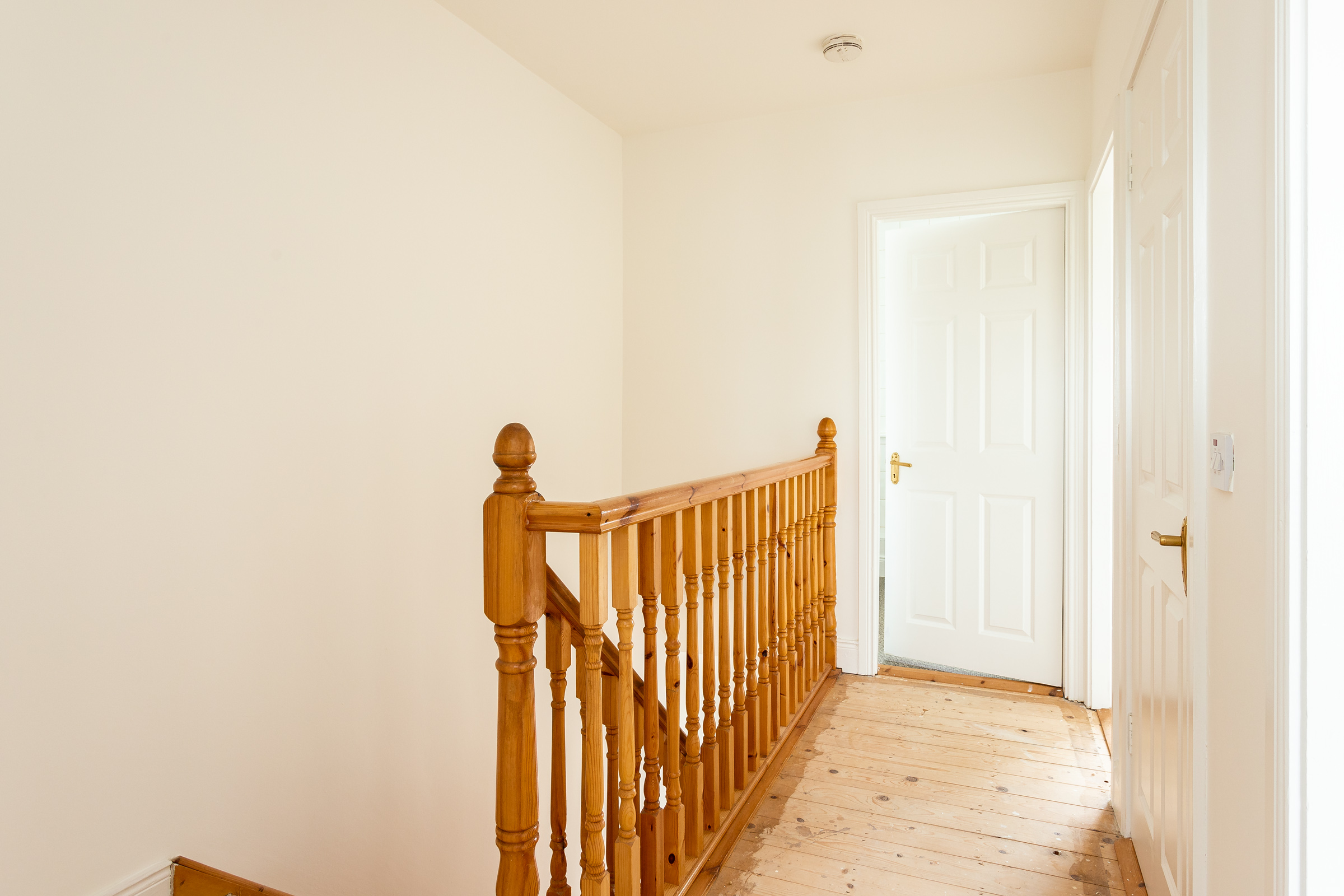 Photo: Niamh Whitty/www.pictureitsold.ie