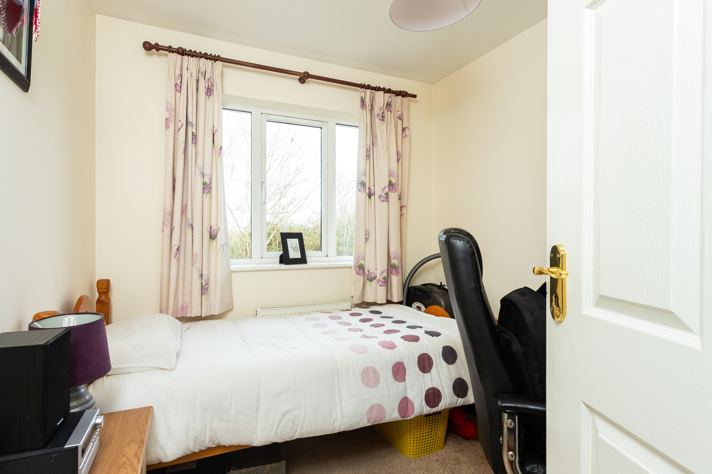 Photo: Niamh Whitty/www.pictureitsold.ie