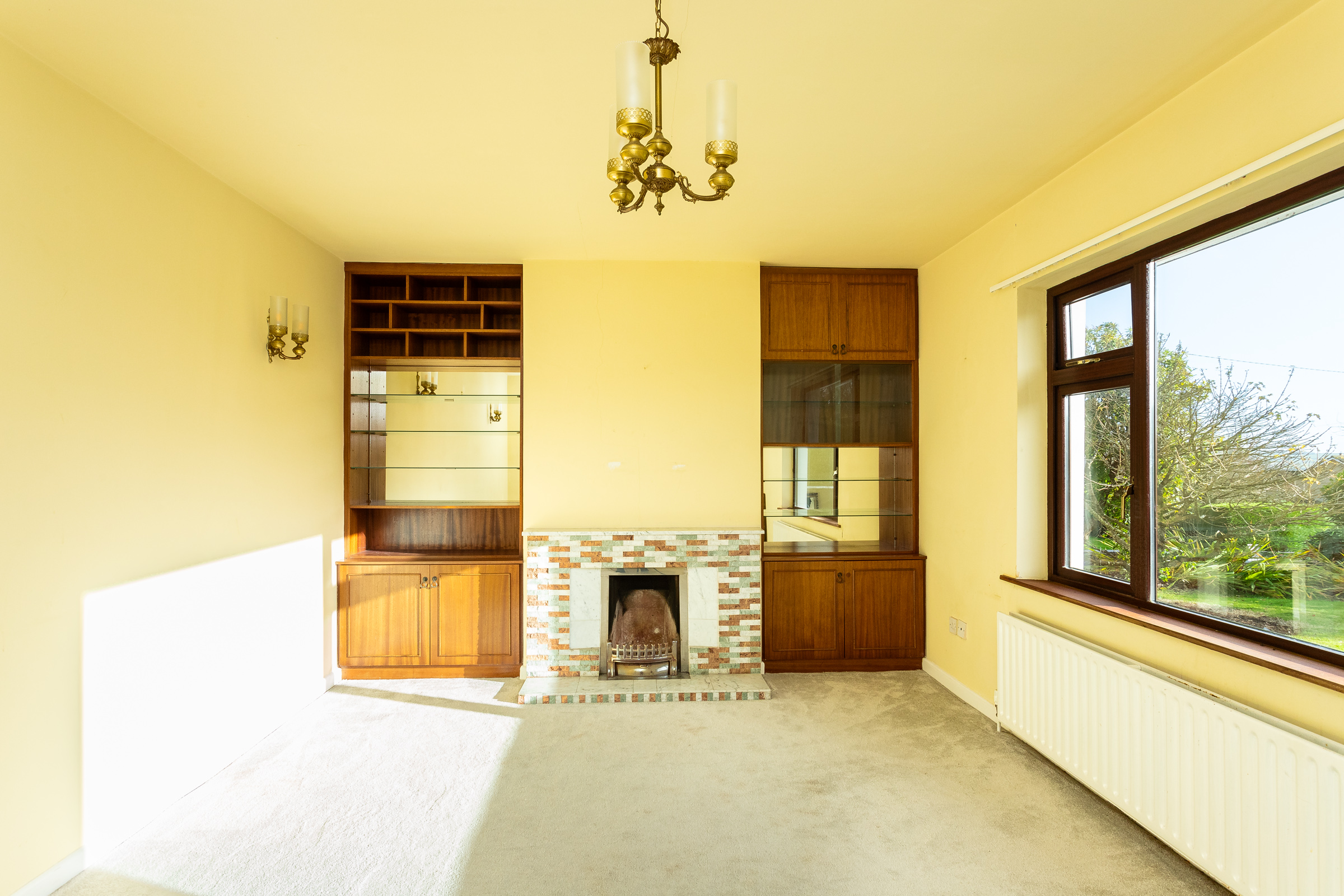 Photo: Niamh Whitty/www.pictureitsold.ie
