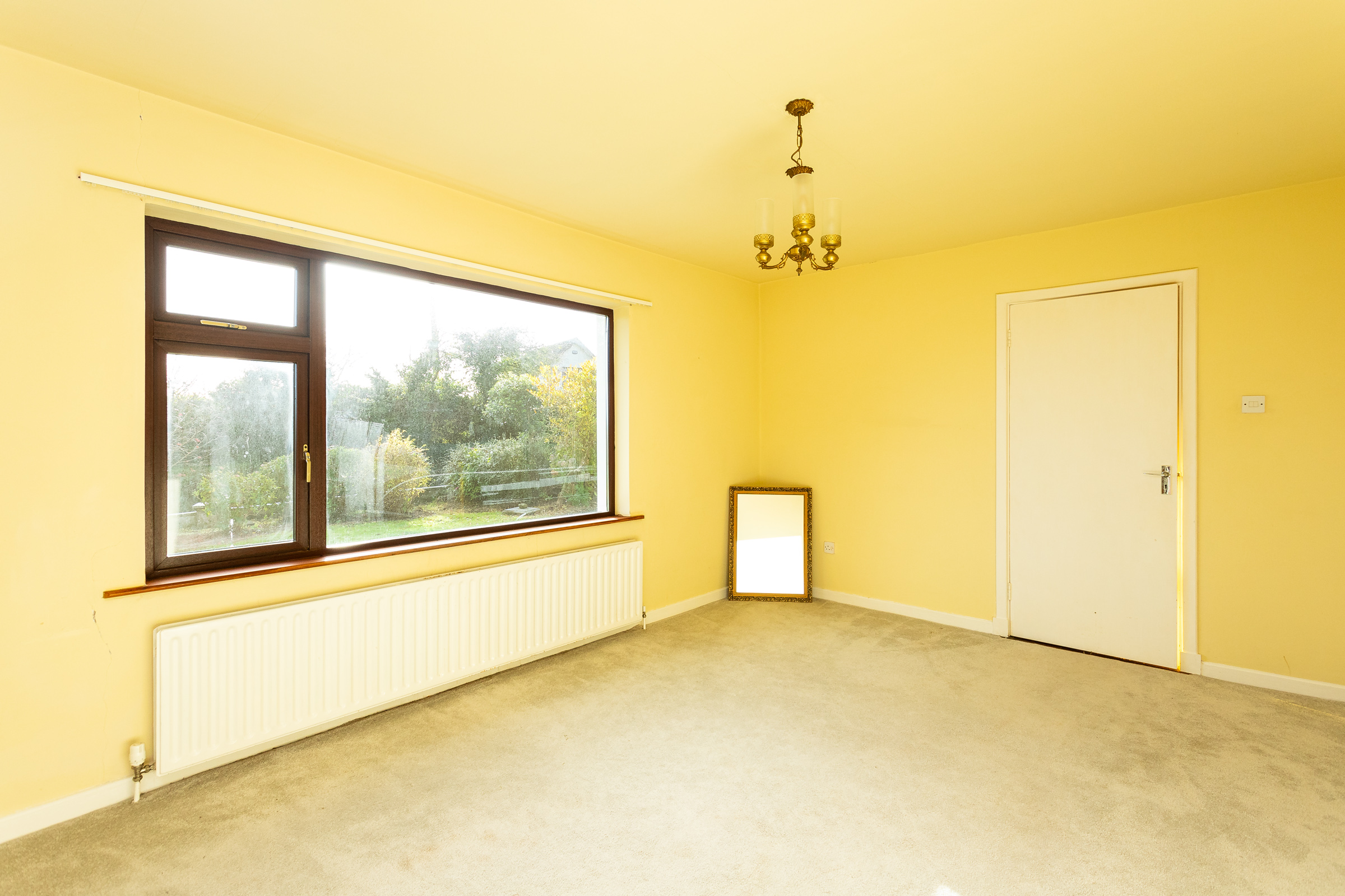 Photo: Niamh Whitty/www.pictureitsold.ie
