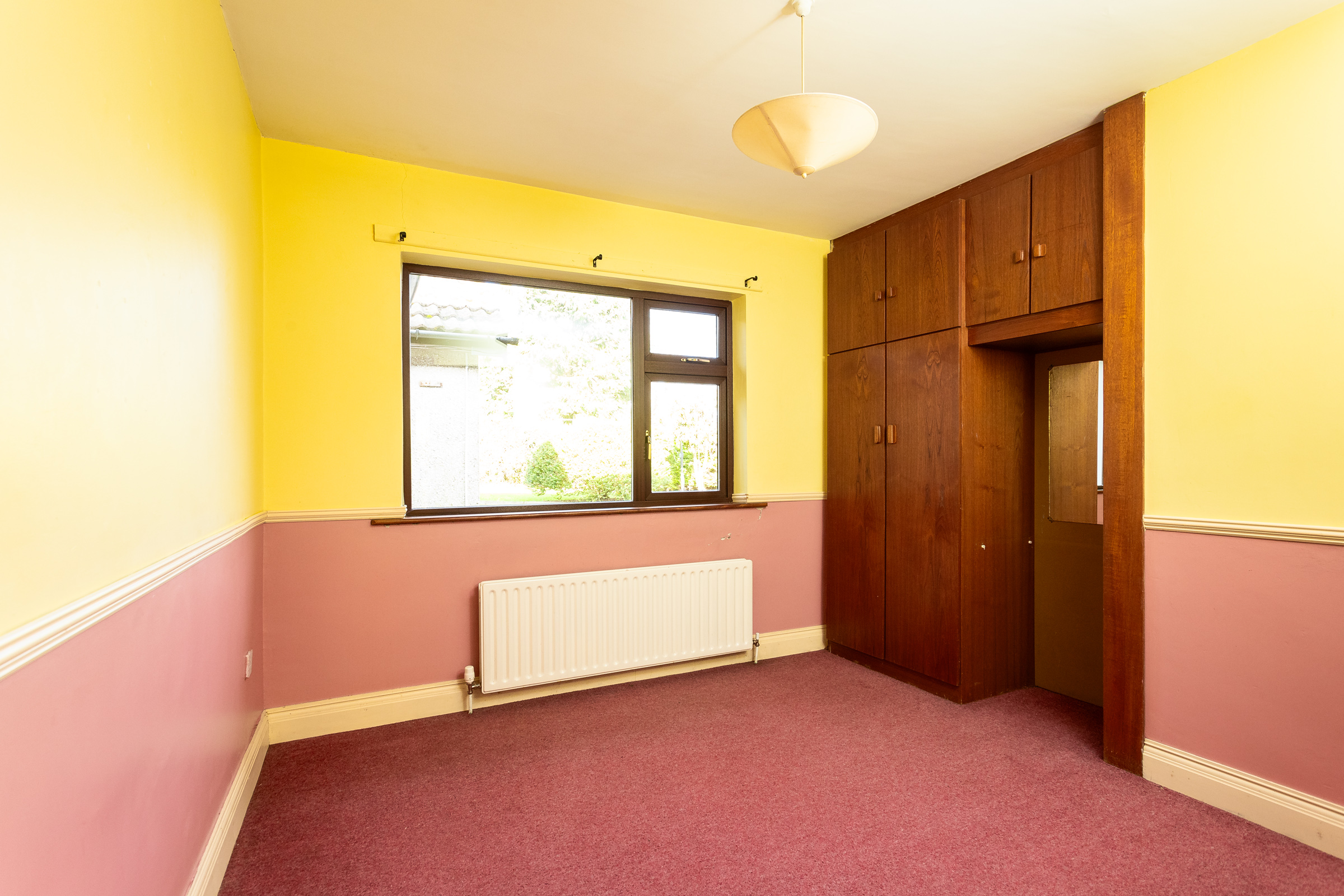 Photo: Niamh Whitty/www.pictureitsold.ie