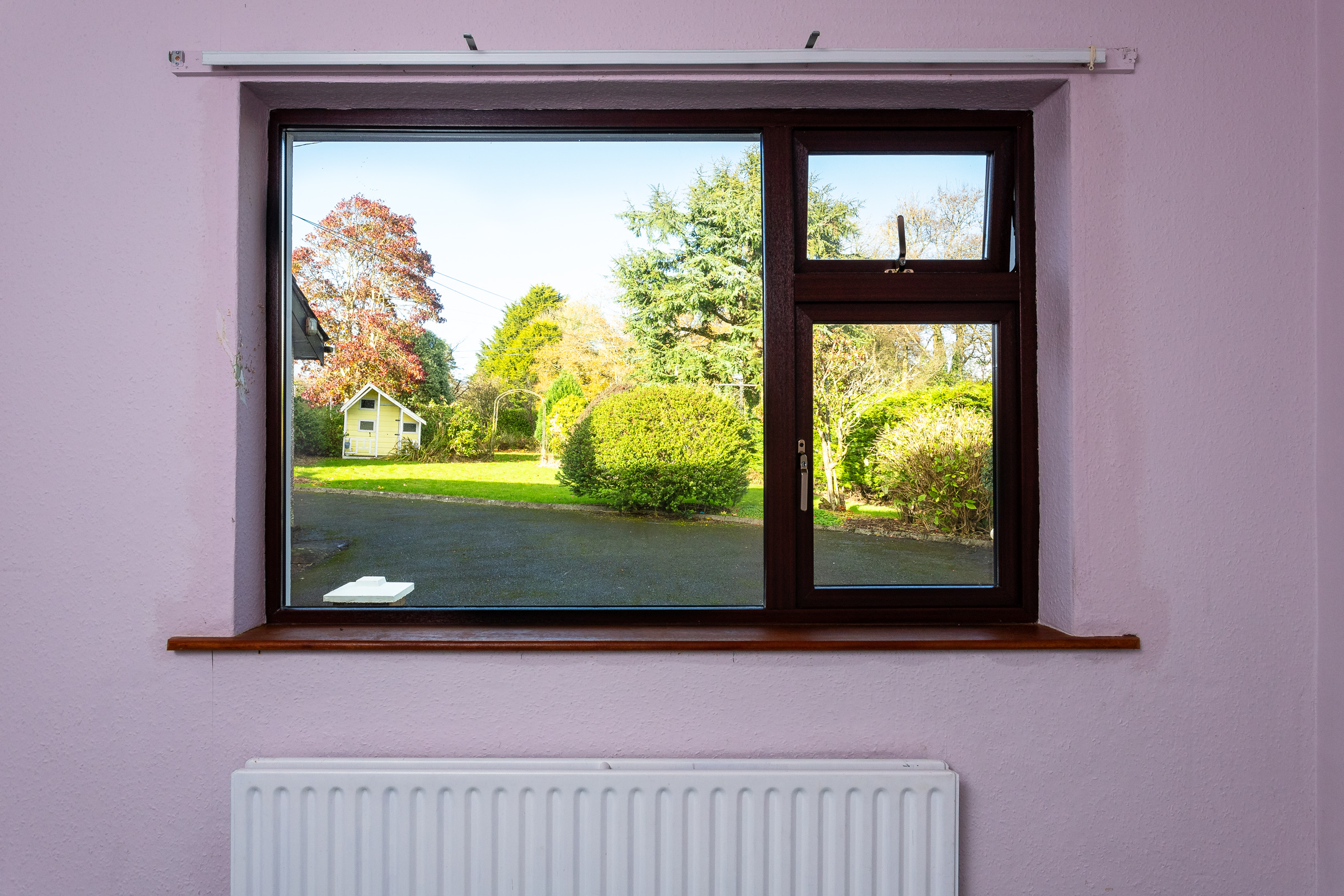 Photo: Niamh Whitty/www.pictureitsold.ie