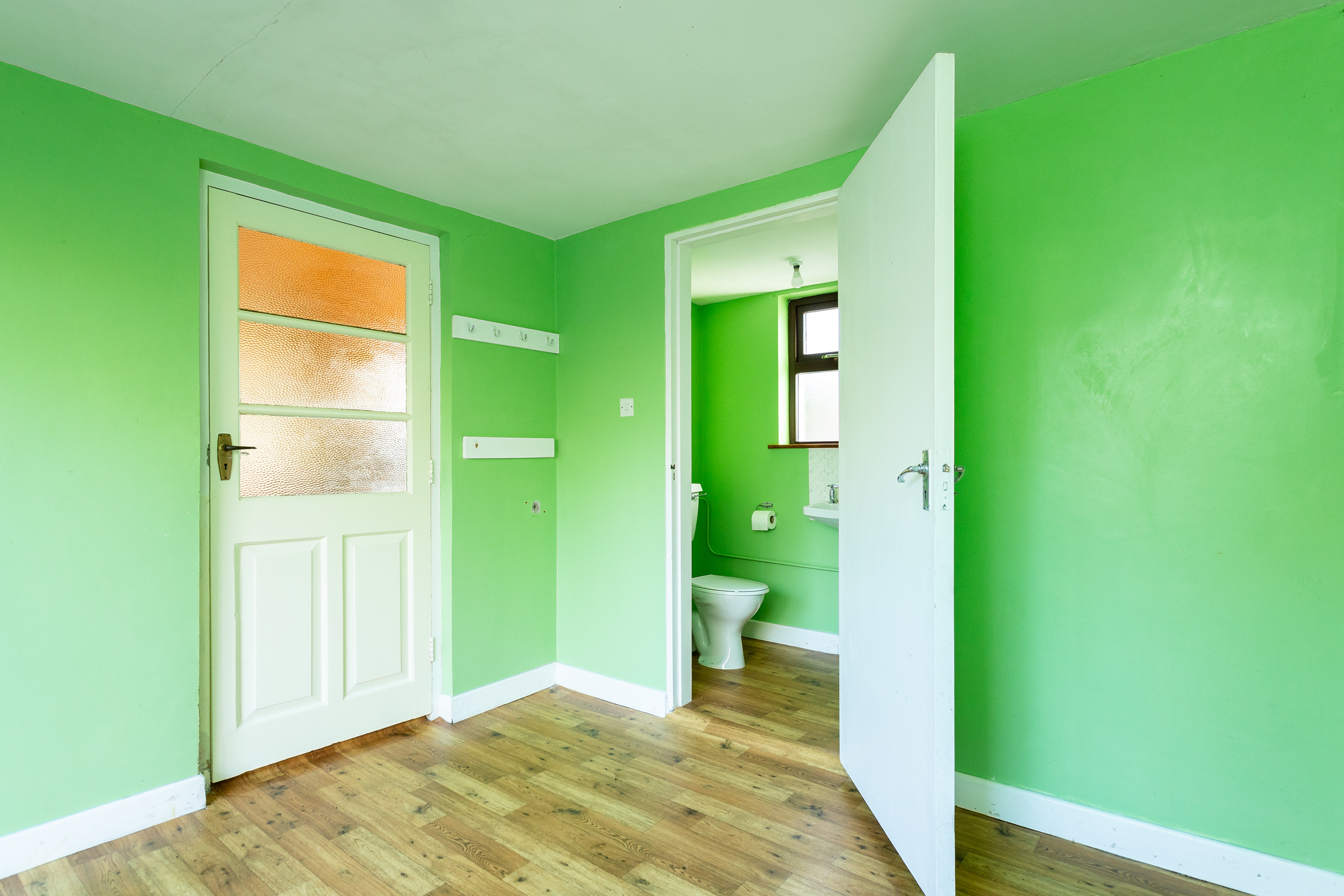 Photo: Niamh Whitty/www.pictureitsold.ie