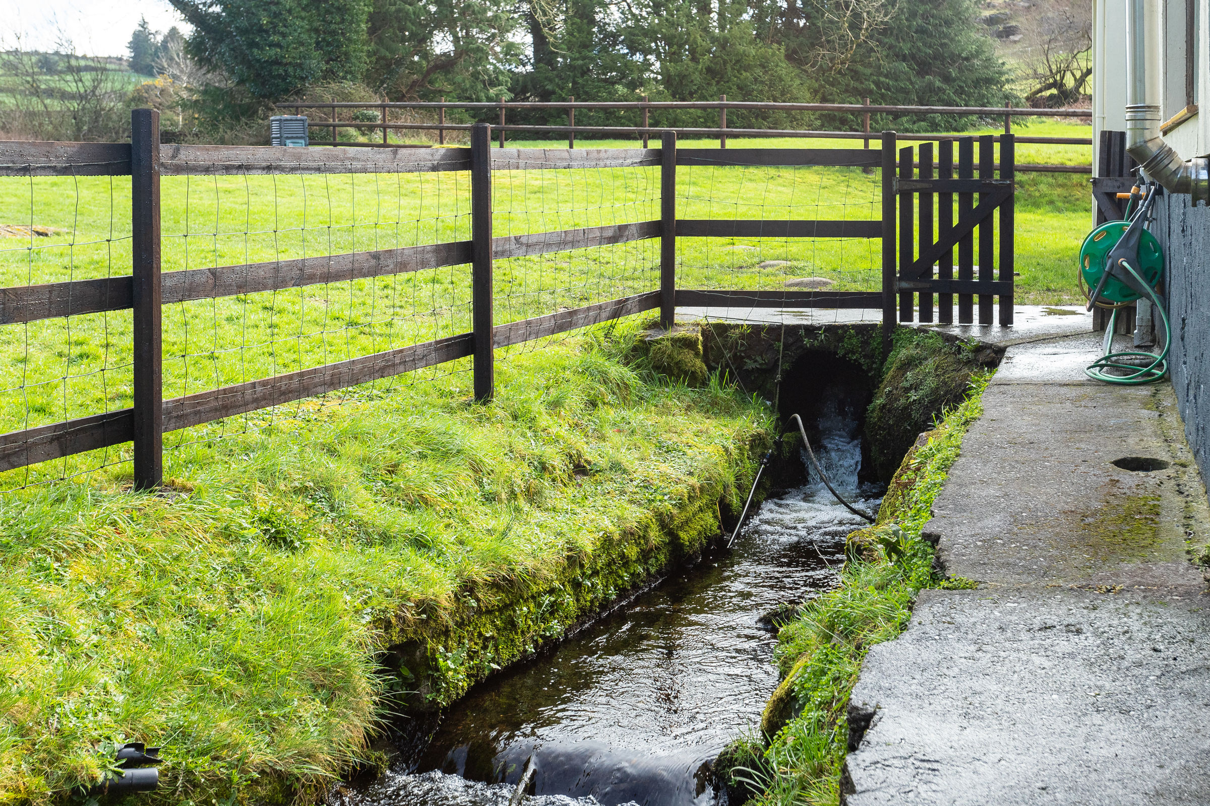 image 010