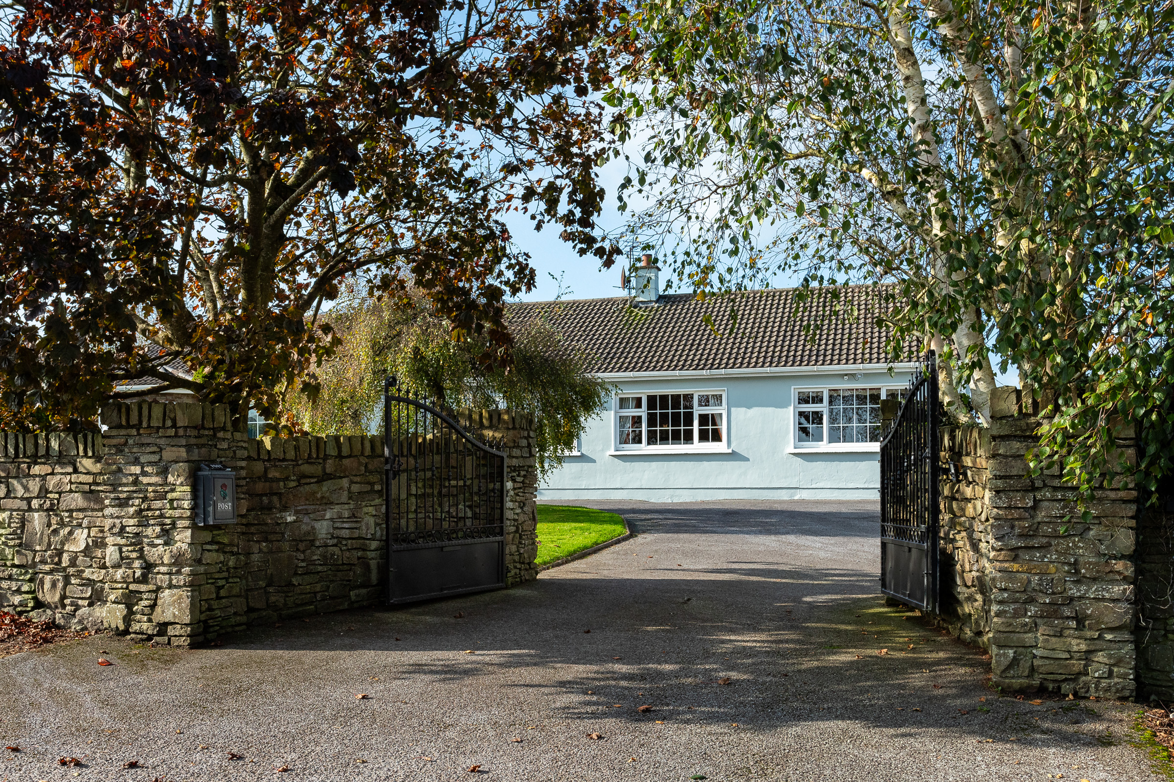 Photo: Niamh Whitty/www.pictureitsold.ie