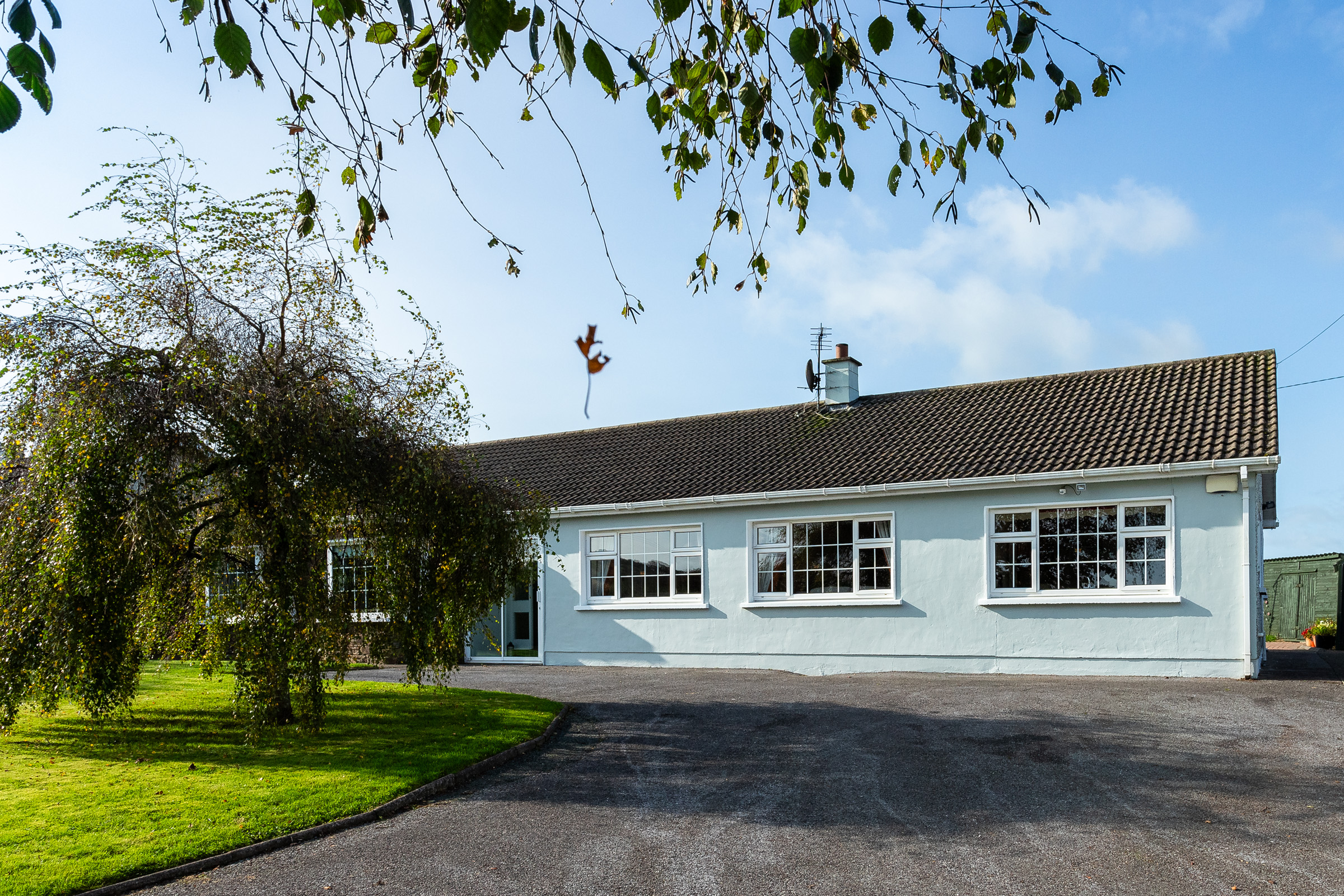 Photo: Niamh Whitty/www.pictureitsold.ie