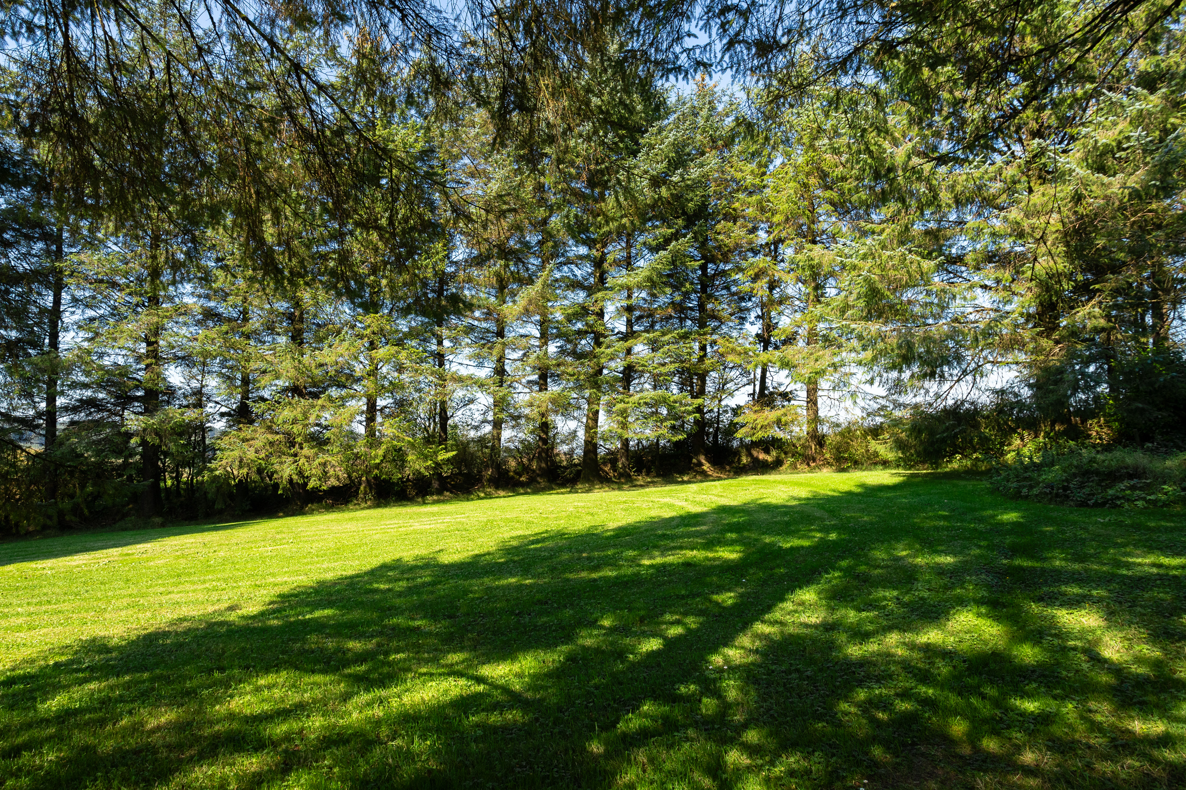 image 014