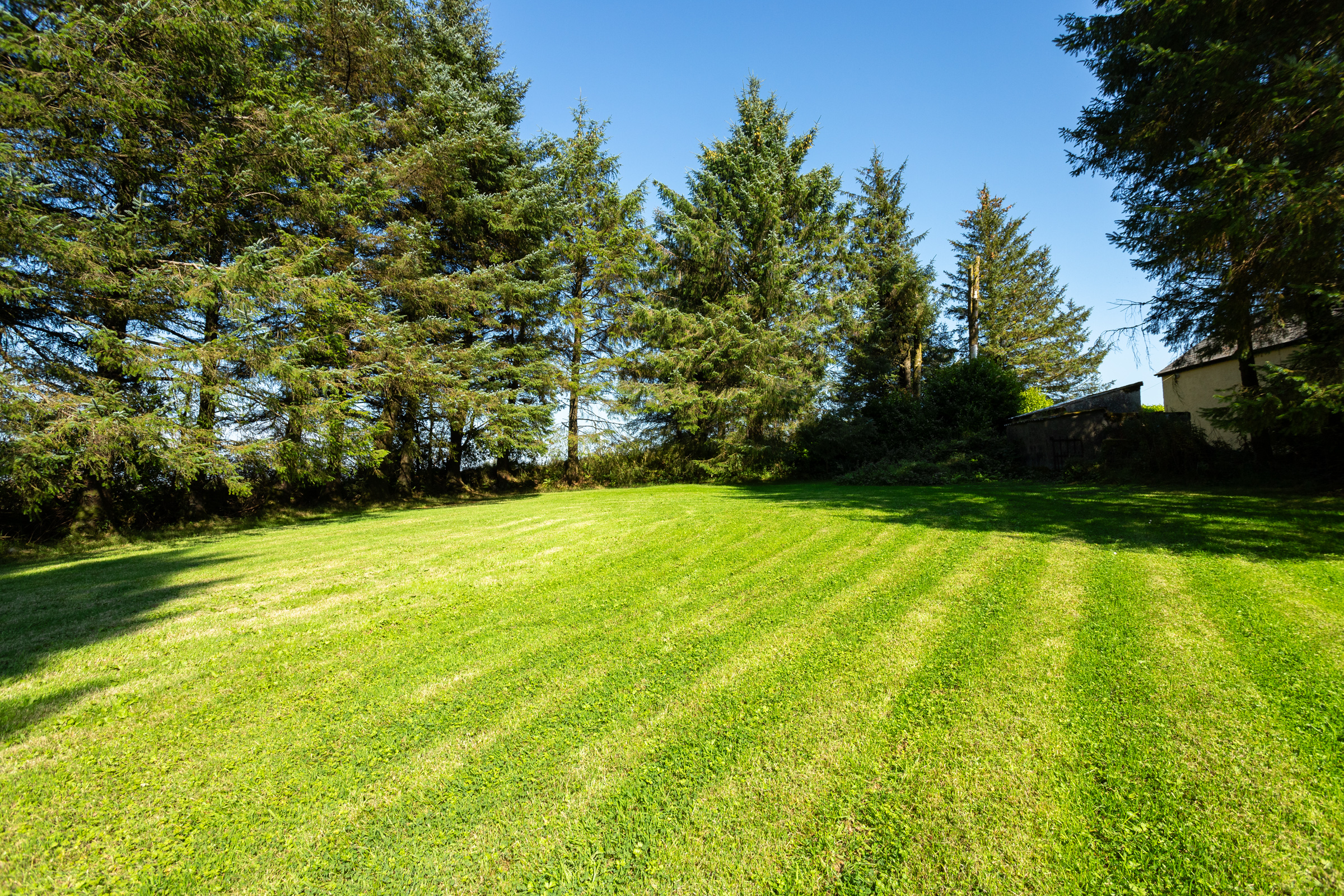 image 015