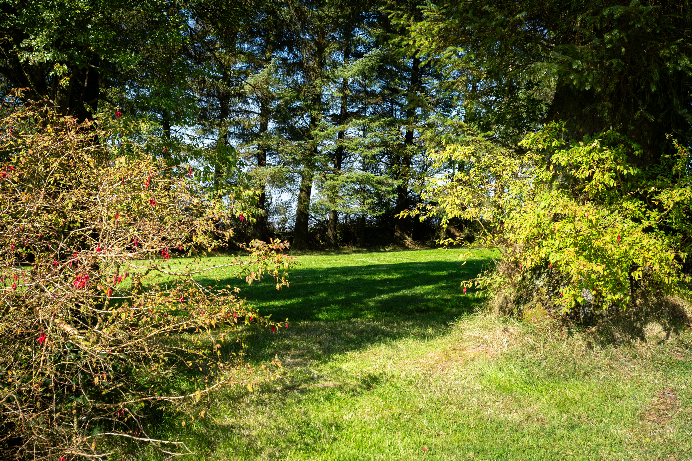 image 018