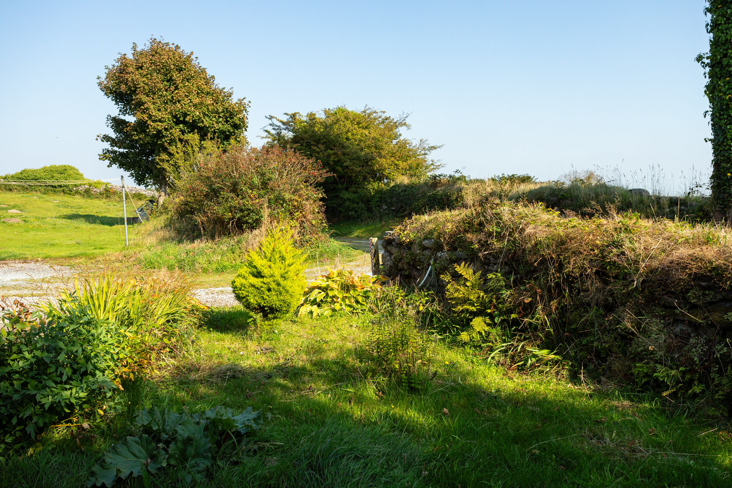 image 012
