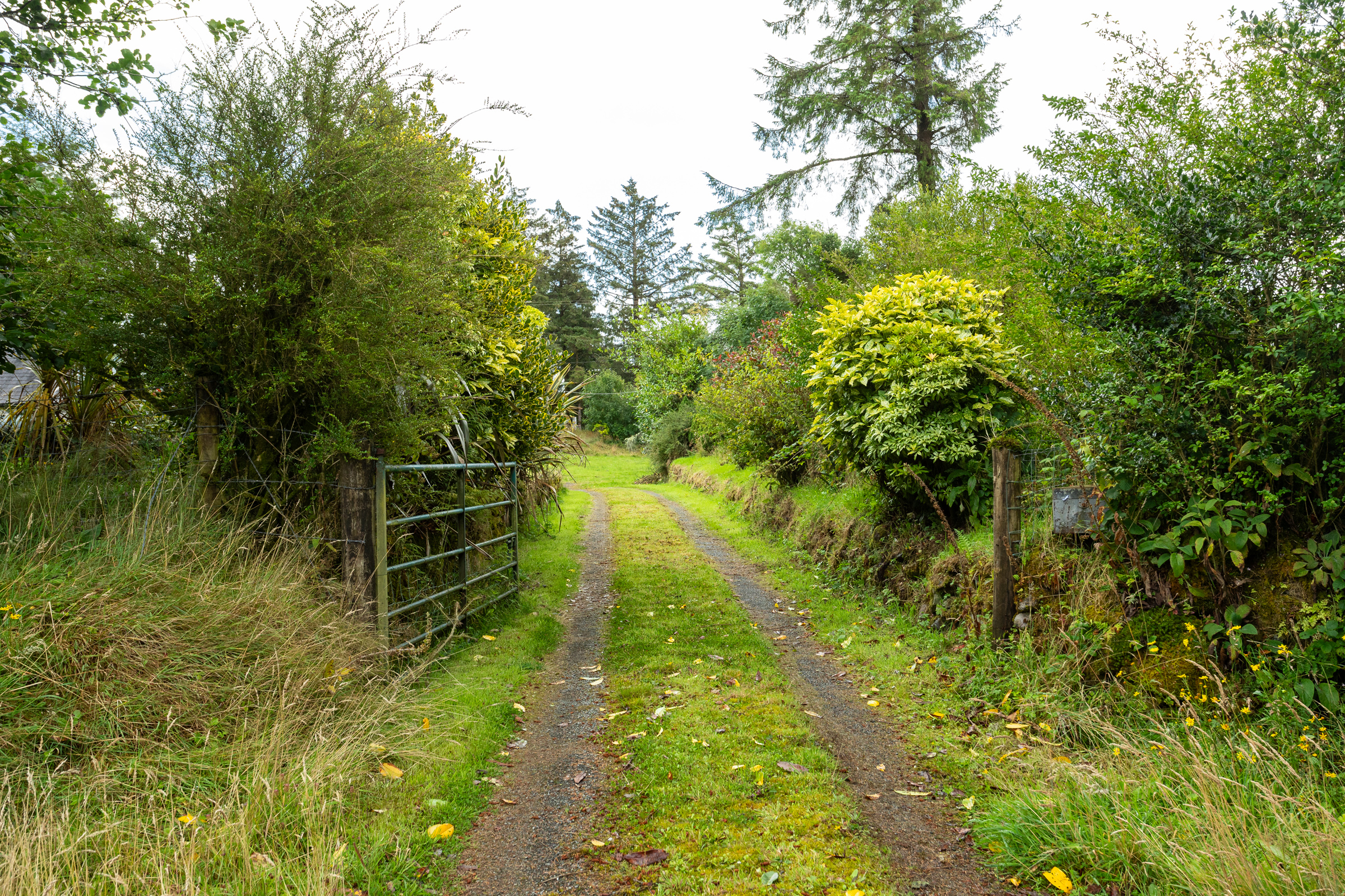 image 012
