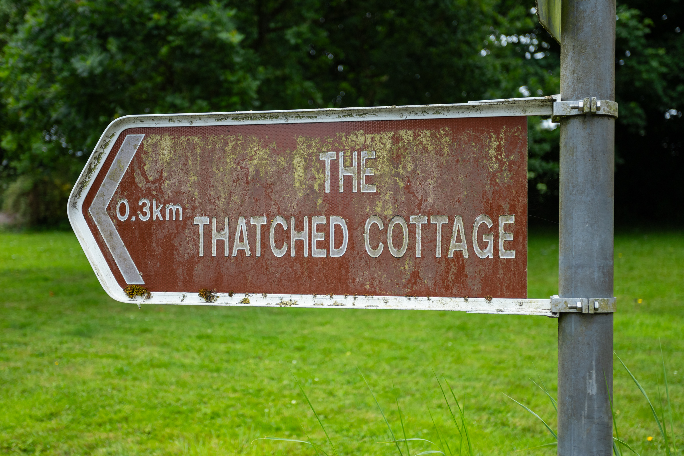 image 010