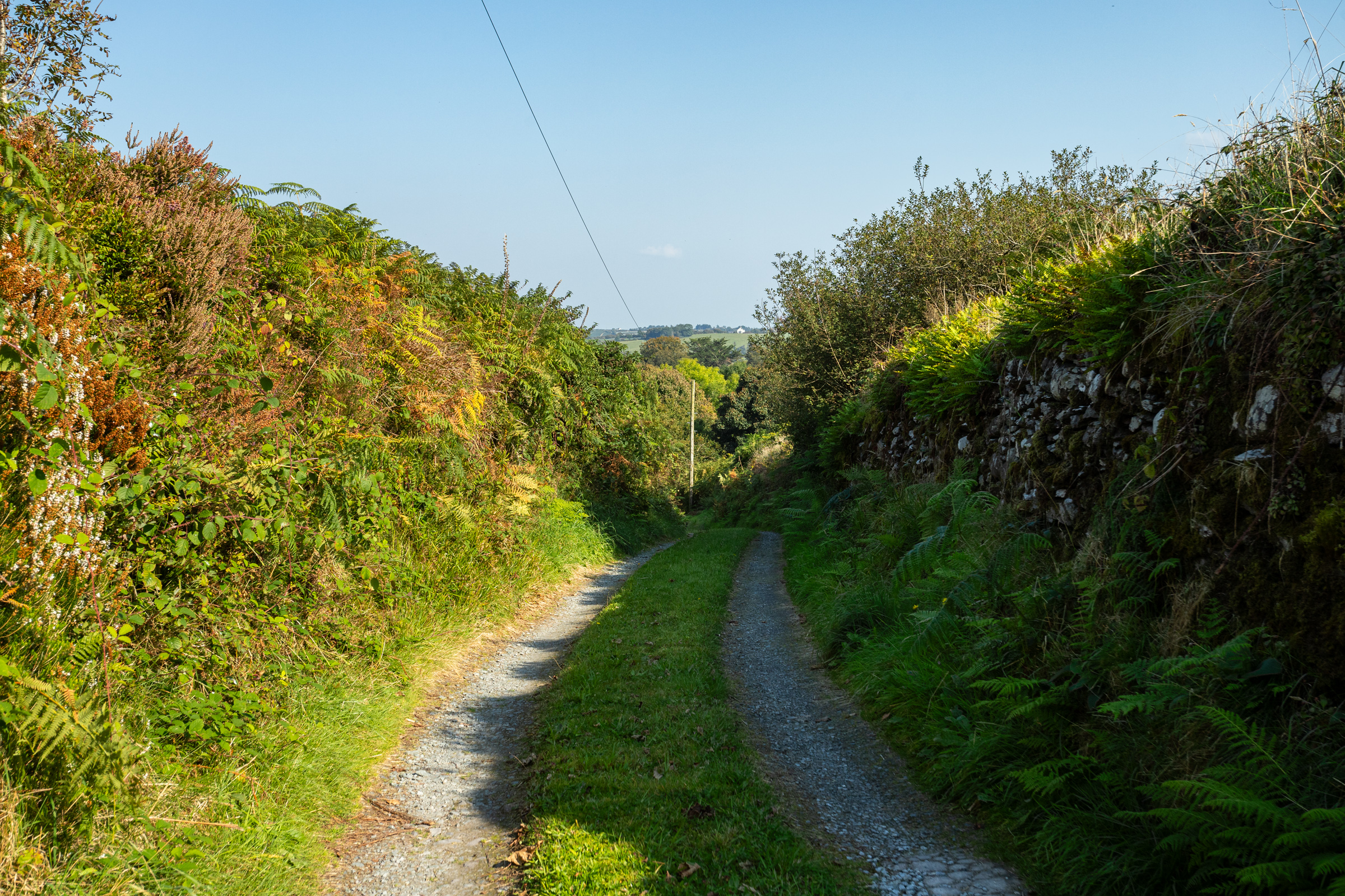 image 013 (2)