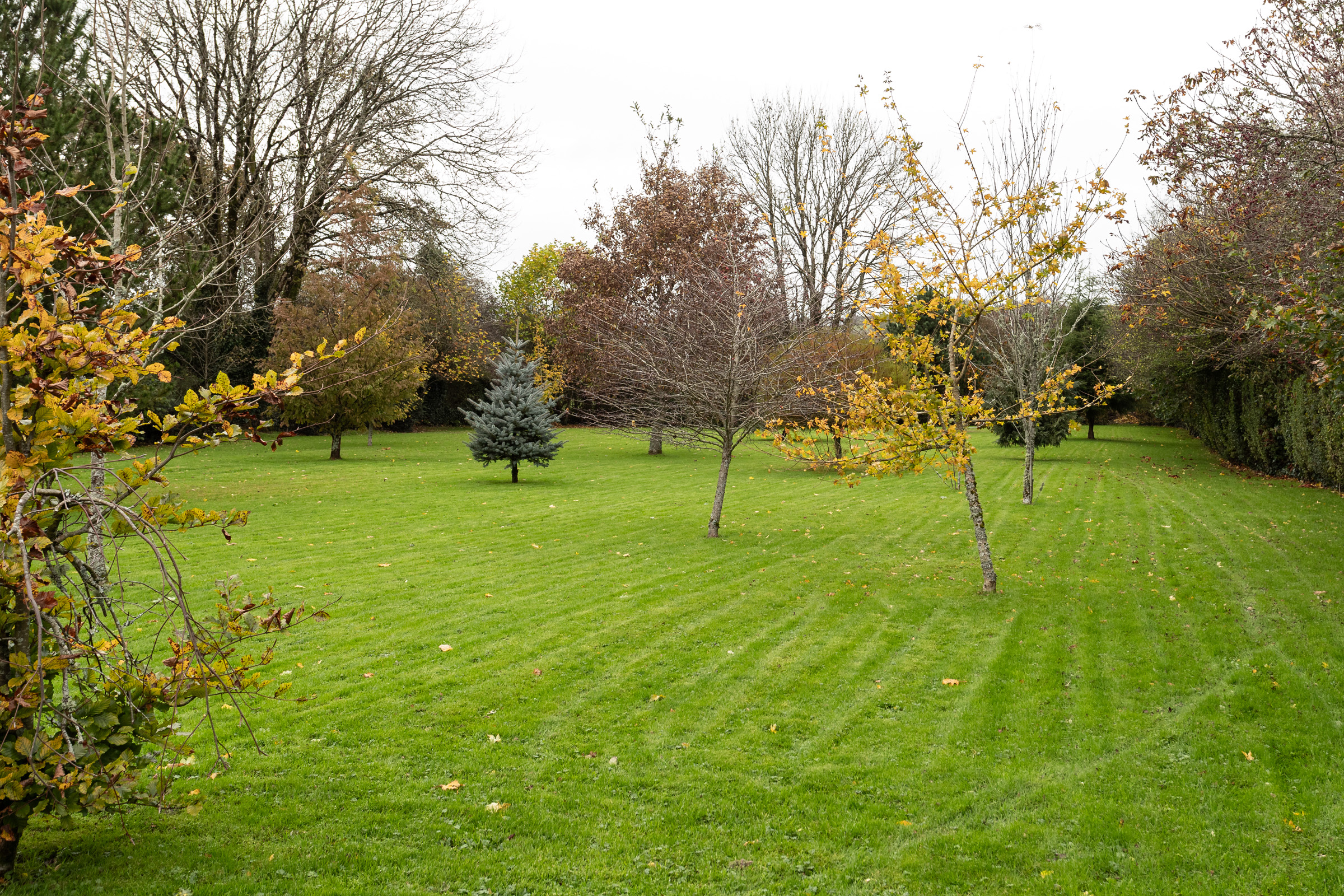 image 007