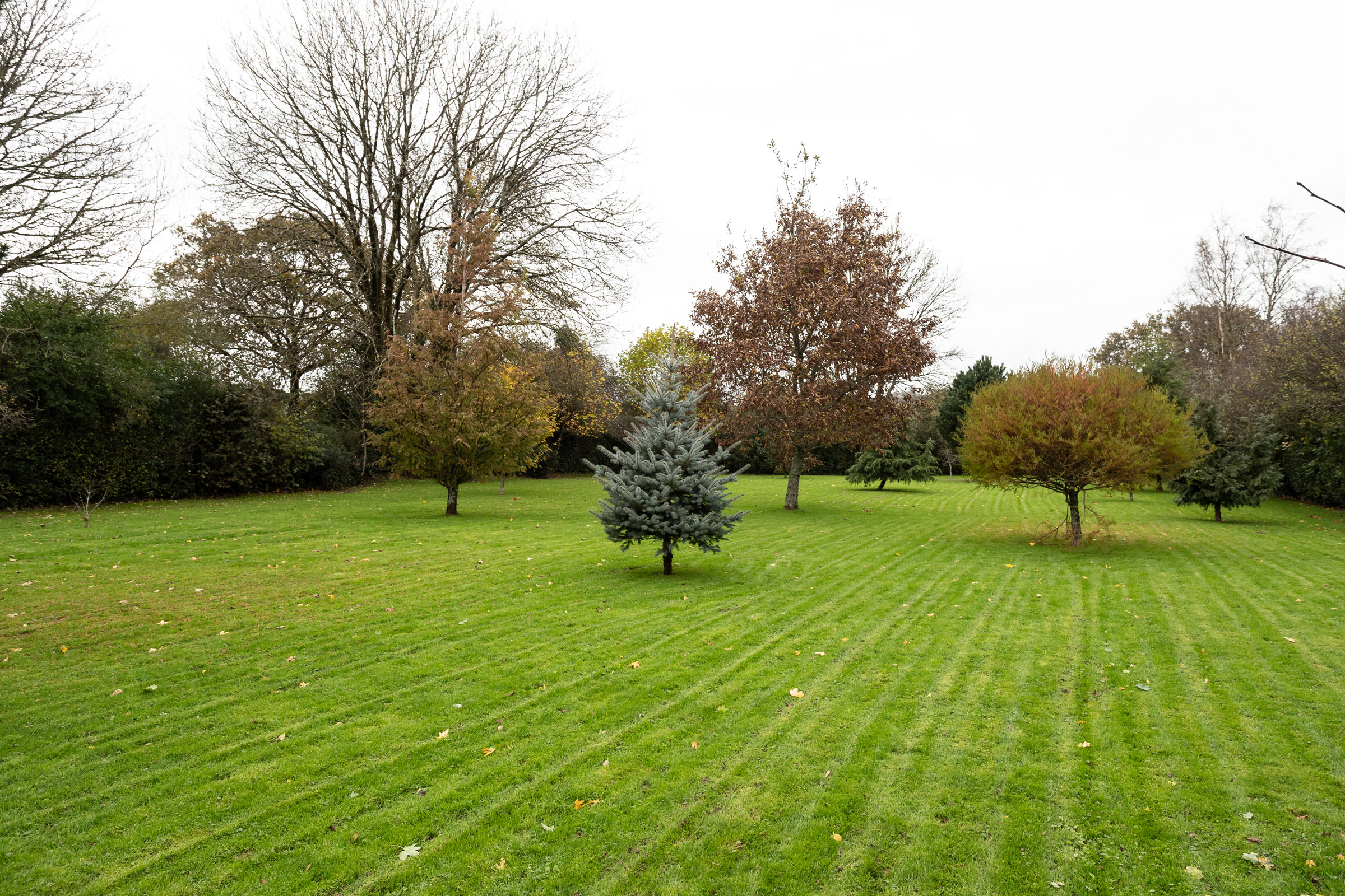image 008