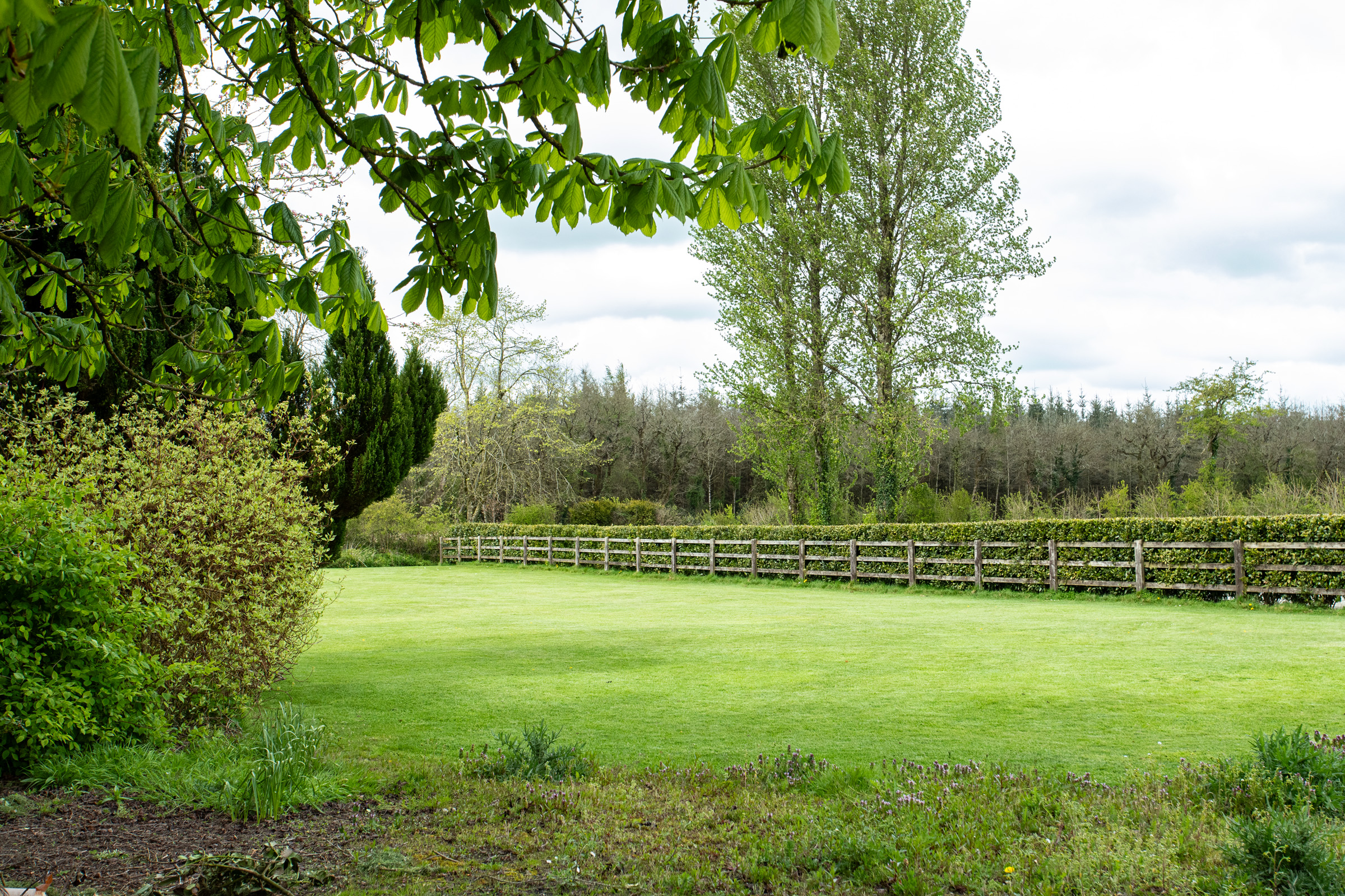 image 011