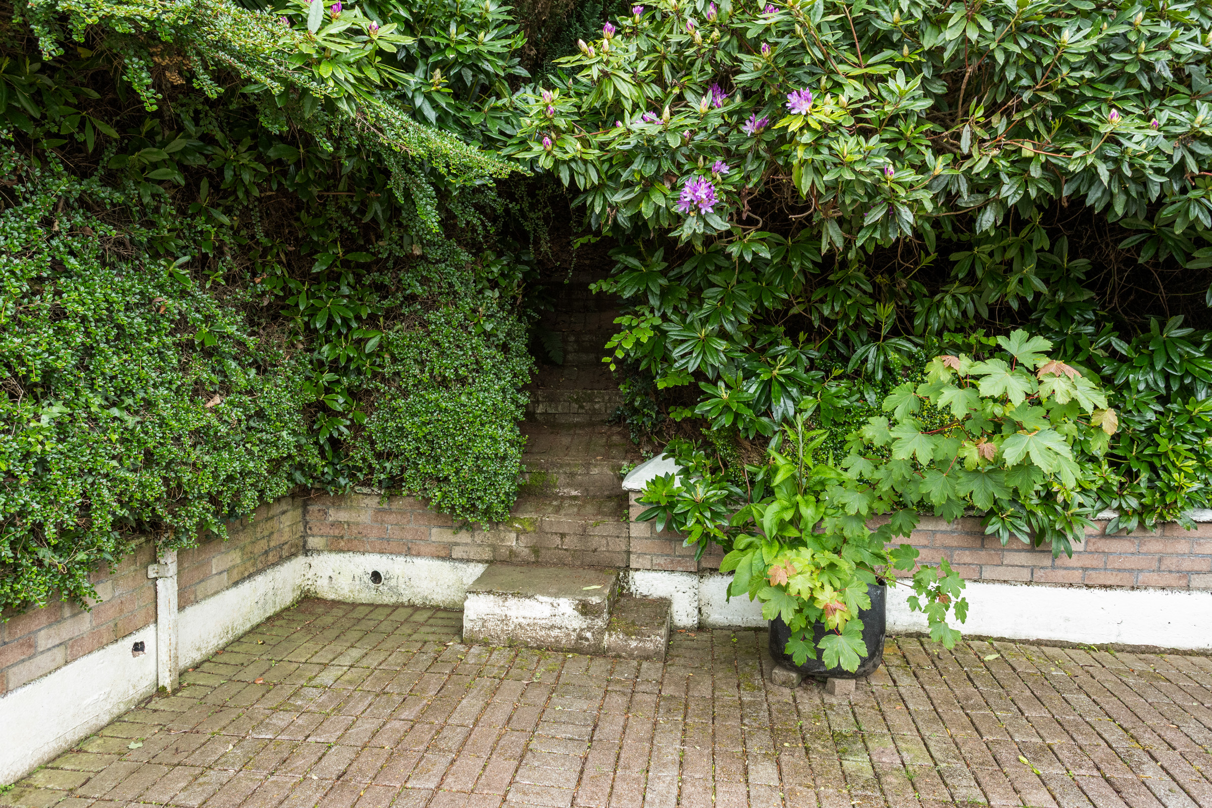 image 013
